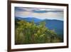 Vista with goldenrod, Shenandoah, Blue Ridge Parkway, Smoky Mountains, USA.-Anna Miller-Framed Photographic Print