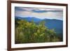 Vista with goldenrod, Shenandoah, Blue Ridge Parkway, Smoky Mountains, USA.-Anna Miller-Framed Photographic Print
