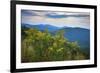 Vista with goldenrod, Shenandoah, Blue Ridge Parkway, Smoky Mountains, USA.-Anna Miller-Framed Photographic Print