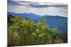 Vista with goldenrod, Shenandoah, Blue Ridge Parkway, Smoky Mountains, USA.-Anna Miller-Mounted Photographic Print