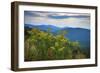 Vista with goldenrod, Shenandoah, Blue Ridge Parkway, Smoky Mountains, USA.-Anna Miller-Framed Photographic Print