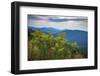 Vista with goldenrod, Shenandoah, Blue Ridge Parkway, Smoky Mountains, USA.-Anna Miller-Framed Photographic Print