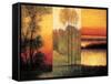 Vistas I-Neil Thomas-Framed Stretched Canvas