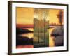 Vistas II-Neil Thomas-Framed Art Print