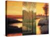 Vistas II-Neil Thomas-Stretched Canvas