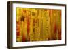 Visual 1-Rabi Khan-Framed Premium Giclee Print