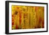 Visual 1-Rabi Khan-Framed Premium Giclee Print