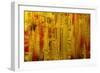 Visual 1-Rabi Khan-Framed Premium Giclee Print