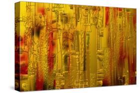 Visual 1-Rabi Khan-Stretched Canvas