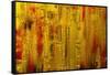 Visual 1-Rabi Khan-Framed Stretched Canvas