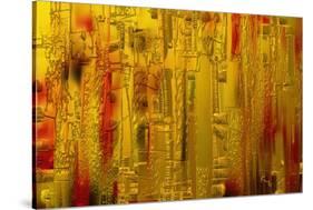 Visual 1-Rabi Khan-Stretched Canvas