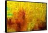 Visual 2-Rabi Khan-Framed Stretched Canvas