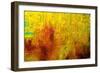 Visual 2-Rabi Khan-Framed Premium Giclee Print