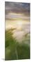 Visual Landscape Afternoon Light, East Bay Hills, Northern California-Vincent James-Mounted Photographic Print