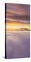 Visual Landscape at Sunset, East Bay Hills, Mount Diablo, California-Vincent James-Stretched Canvas