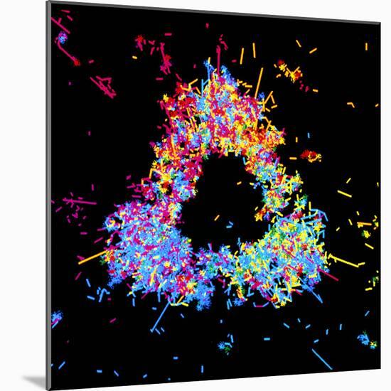 Visualisation of Quark Structure of Proton-null-Mounted Premium Photographic Print