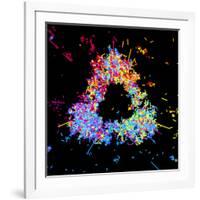 Visualisation of Quark Structure of Proton-null-Framed Photographic Print