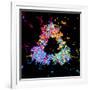 Visualisation of Quark Structure of Proton-null-Framed Photographic Print