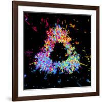 Visualisation of Quark Structure of Proton-null-Framed Photographic Print