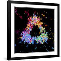 Visualisation of Quark Structure of Proton-null-Framed Photographic Print