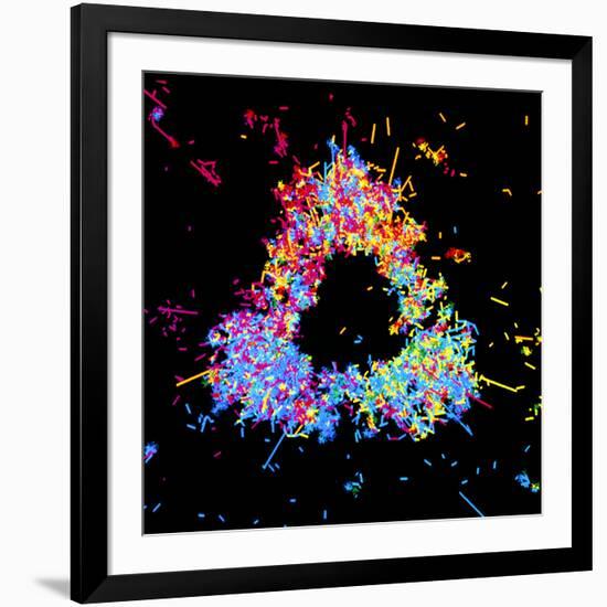 Visualisation of Quark Structure of Proton-null-Framed Photographic Print