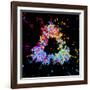 Visualisation of Quark Structure of Proton-null-Framed Photographic Print