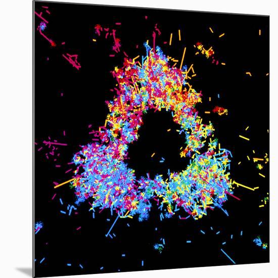 Visualisation of Quark Structure of Proton-null-Mounted Photographic Print