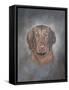 Visula-Rusty Frentner-Framed Stretched Canvas