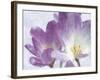 Vitality-Malcolm Sanders-Framed Giclee Print