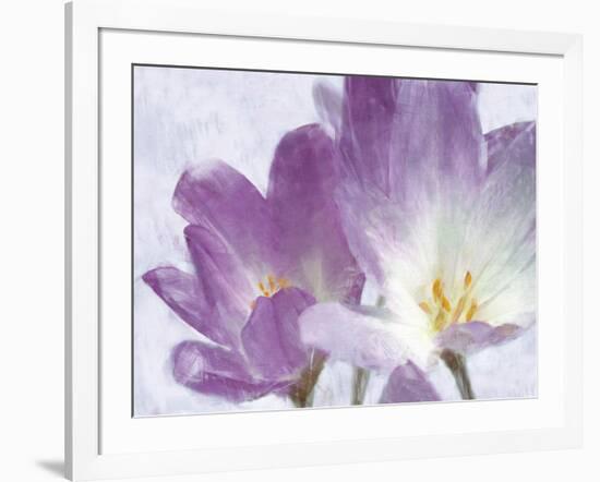 Vitality-Malcolm Sanders-Framed Giclee Print