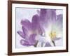 Vitality-Malcolm Sanders-Framed Giclee Print