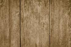 Wooden Background with Vertical Boards-vitalkaka-Mounted Photographic Print