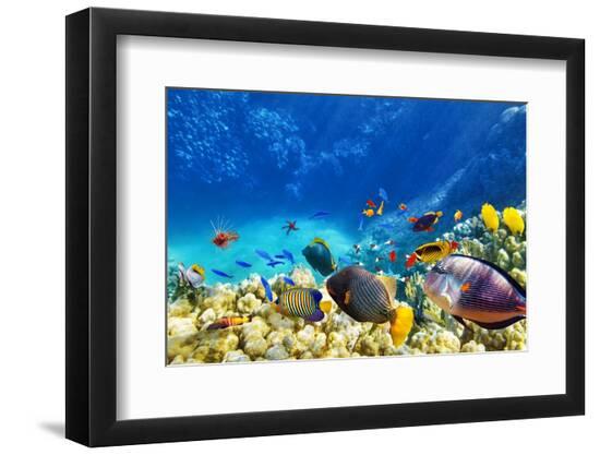 Photographic Print, , large
