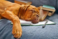 Dog Sleeping In Her Notebook After Studying-vitalytitov-Photographic Print