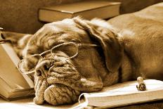 Dog Sleeping In Her Notebook After Studying-vitalytitov-Photographic Print