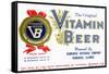 Vitamin Beer-null-Framed Stretched Canvas