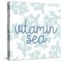 Vitamin Sea-Allen Kimberly-Stretched Canvas