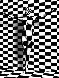 Checkered Woman on the Checkered Wall-vitanovski-Photographic Print