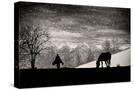 Stretched Canvas