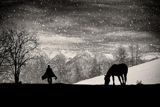 Premium Photographic Print, , large