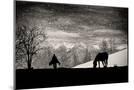 Wood Mount
