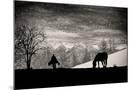 Wood Mount