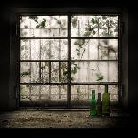 Still-Life with Glass Bottle-Vito Guarino-Photographic Print