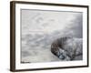 Vito-Susan Friedman-Framed Photographic Print