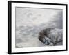 Vito-Susan Friedman-Framed Photographic Print