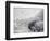 Vito-Susan Friedman-Framed Photographic Print