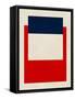 Framed Canvas