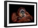 Black Frame