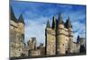 Vitre Castle-null-Mounted Giclee Print