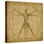 Vitruvian Human Diagram Grunge Medical Chart-digitalista-Stretched Canvas